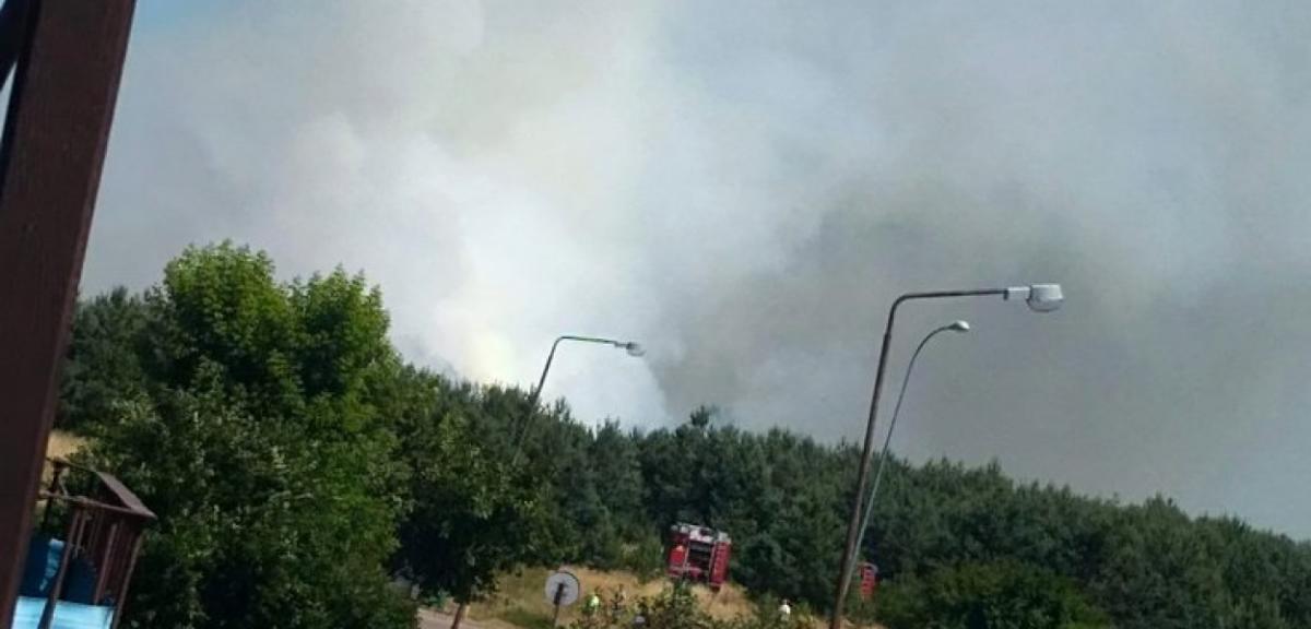 Pożar lasu w okolicy Osiedla Wschód