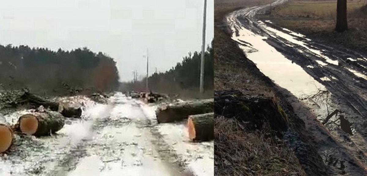 Równi i równiejsi