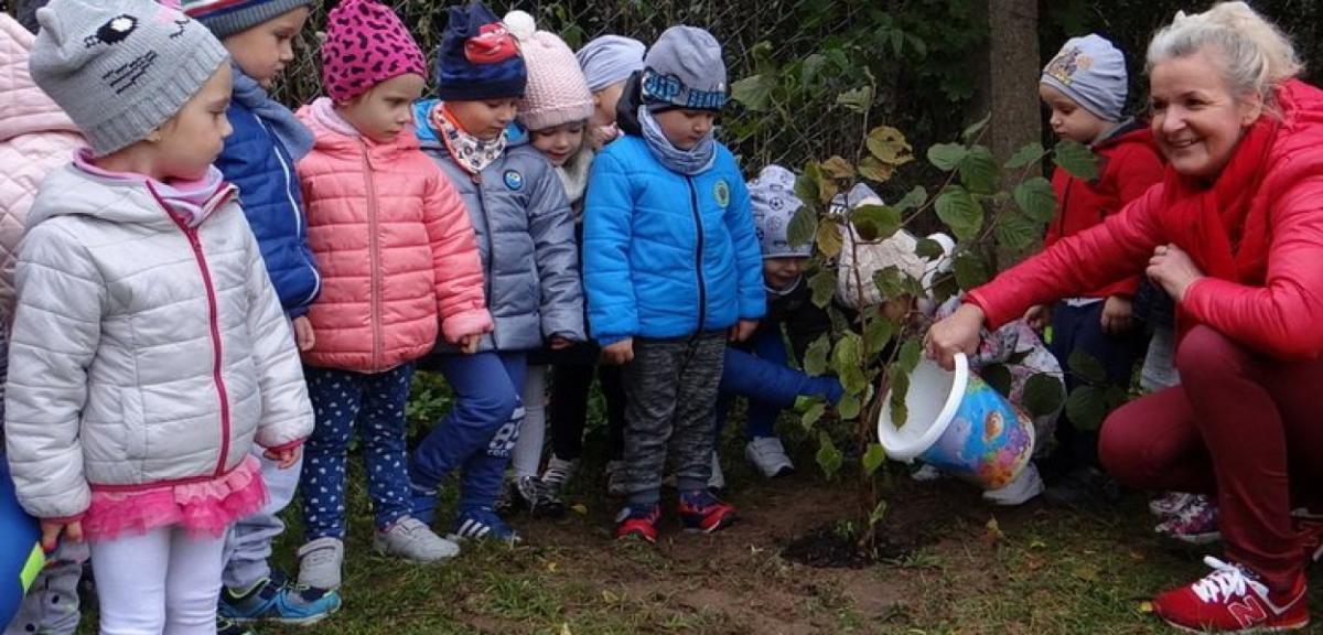 Dzieci sadziły świerki, buki i brzozy
