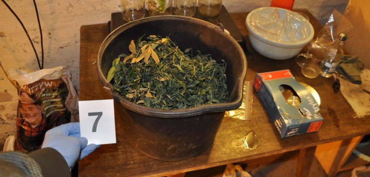  Ruciane-Nida: 52-latek prowadził plantację marihuany na kradzionym…