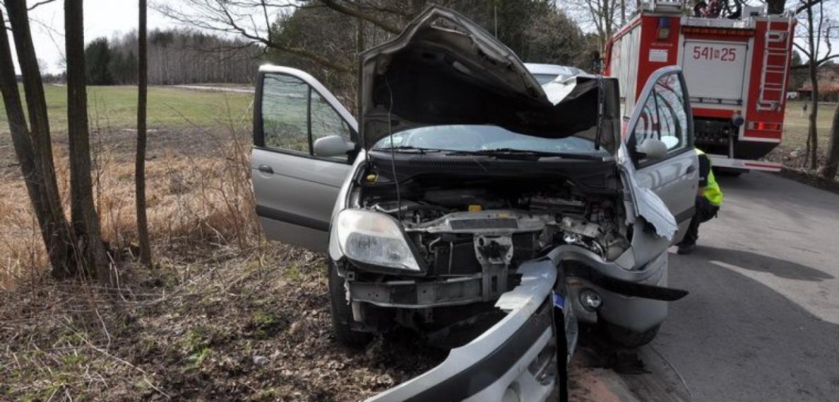 Kierująca renaultem uderzyła w drzewo