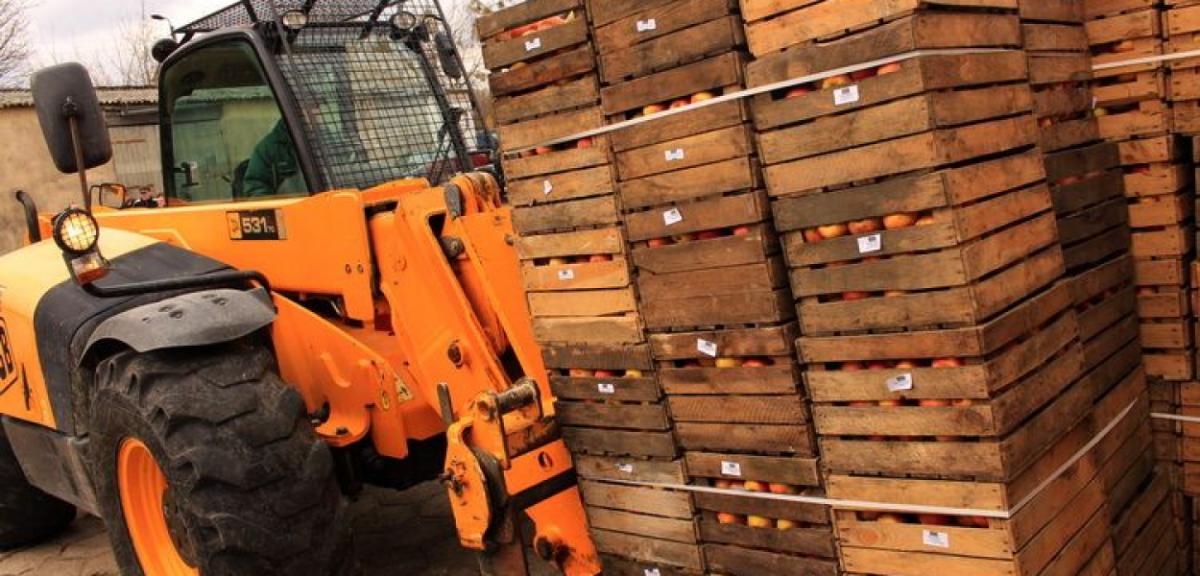 3383 skrzynek z jabłkami trafi do piskich szkół i przedszkoli