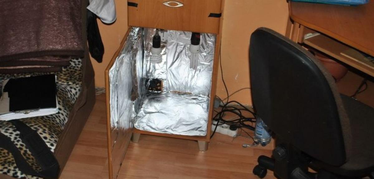 Podczas interwencji znaleźli marihuanę