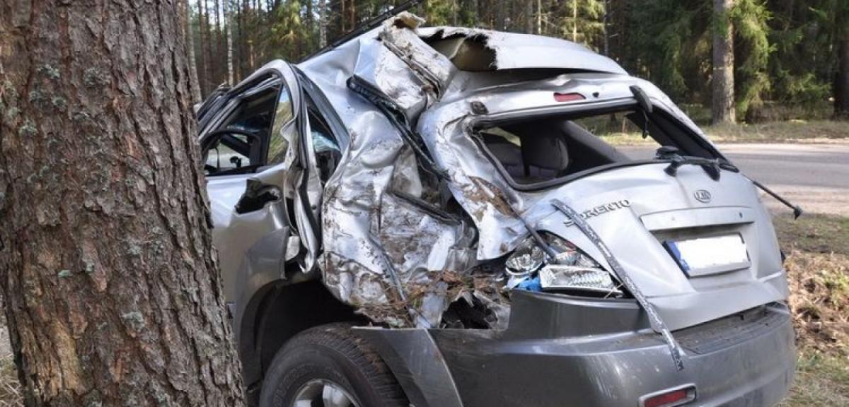 Kierujący Kia Sorento uderzył w drzewo