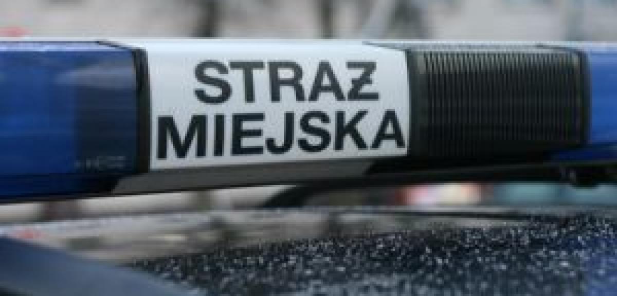 Za co wlepiali mandaty?