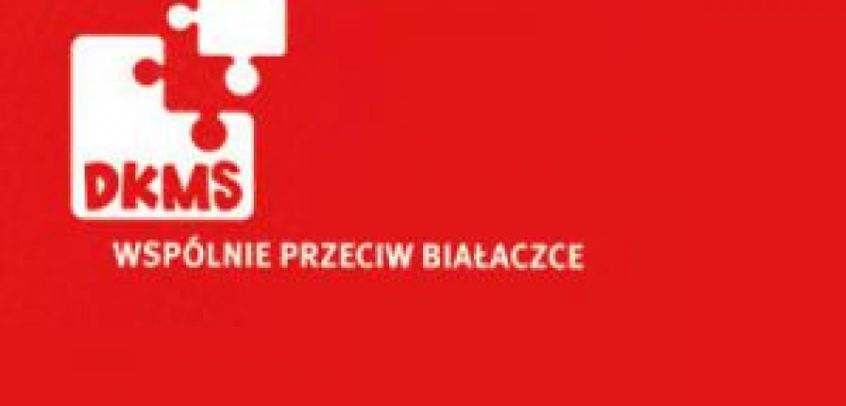 Platforma wzywa komitety do akcji