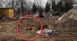 Bezcenne znalezisko wstrzymało przebudowę PDK