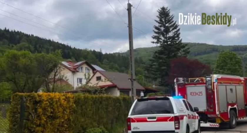 Tragiczny wypadek rowerzysty w Ustroniu Policja wyjaśnia szczegóły zdarzenia