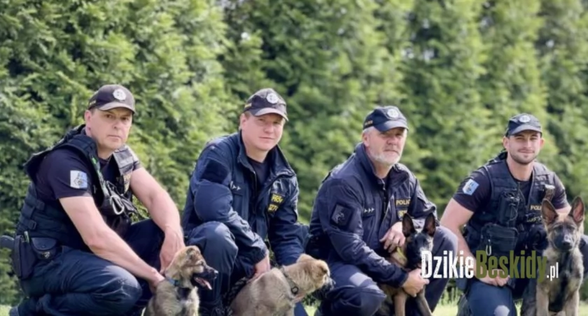 Cztery młode psy policyjne rozpoczynają służbę w regionie