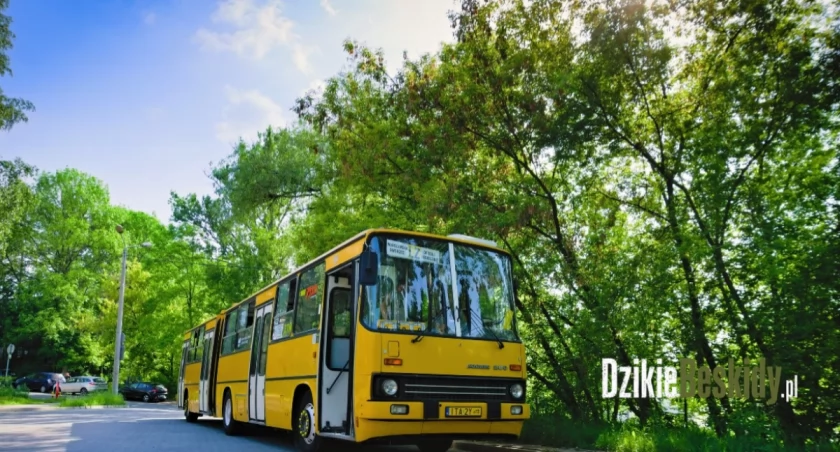 Ikarus 280 znów na bielskich ulicach – sentymentalna podróż w czasie
