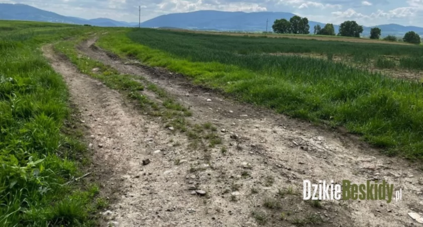 Remont ulicy Zapłocie w Godziszowie z dofinansowaniem z Funduszu Ochrony Gruntów Rolnych
