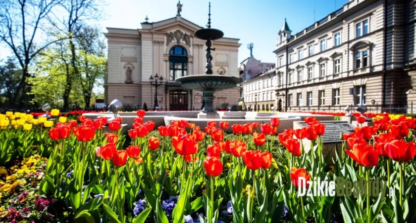 Bielsko-Biała rozważa referendum jak mieszkańcy zdecydują.