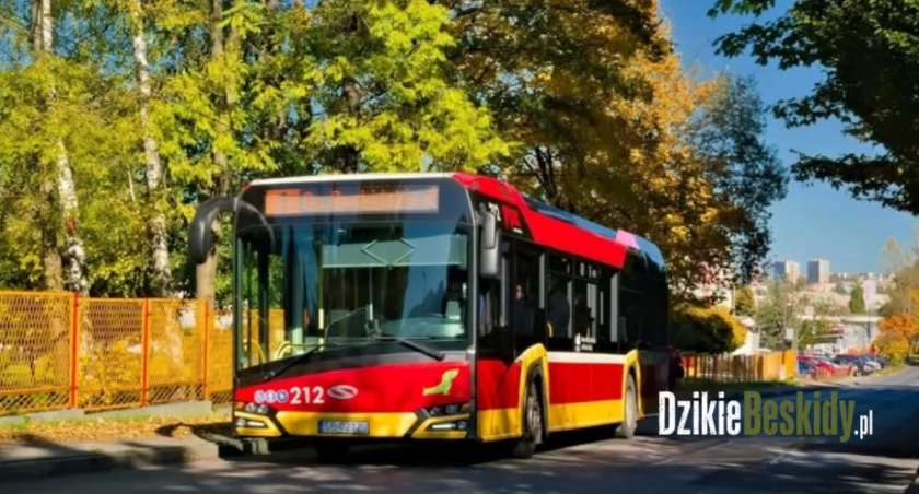 Boże Ciało w Bielsku Białej zmiany w kursowaniu autobusów MZK w czerwcu 2026.