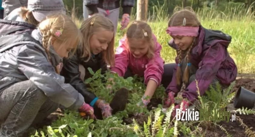 Przedszkole w Bystrej otrzymuje tytuł Ekoprzedszkolaka 2026 i tworzy zieloną przestrzeń edukacyjną.