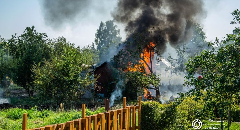 Pożar altany na oleśnickich ogródkach