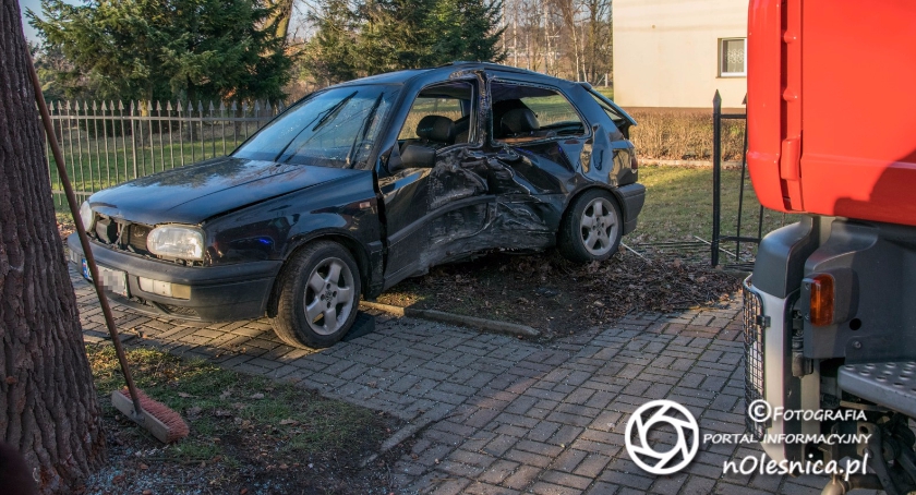 Golf kontra drzewo