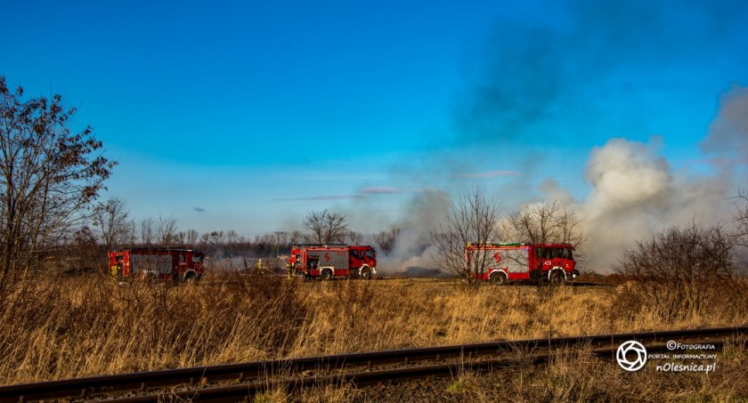 Pożar nieużytków na tzw. kwadratach - interweniuje kilka zastępów straży