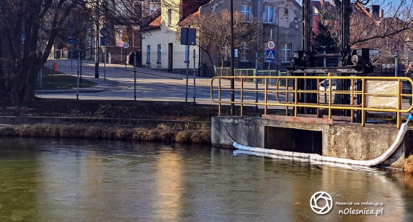 Czy wodę w rzece zatruto? Strażacy ruszyli na ratunek - VIDEO