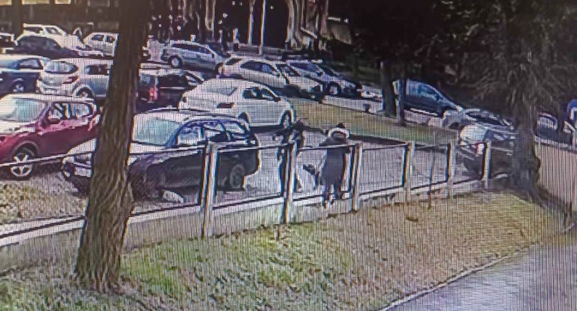 AKTUALIZACJA: Pies pogryzł nastolatka - policjanci szukają właściciela