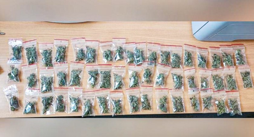 0,5 kilograma marihuany w mieszkaniu 21 latka
