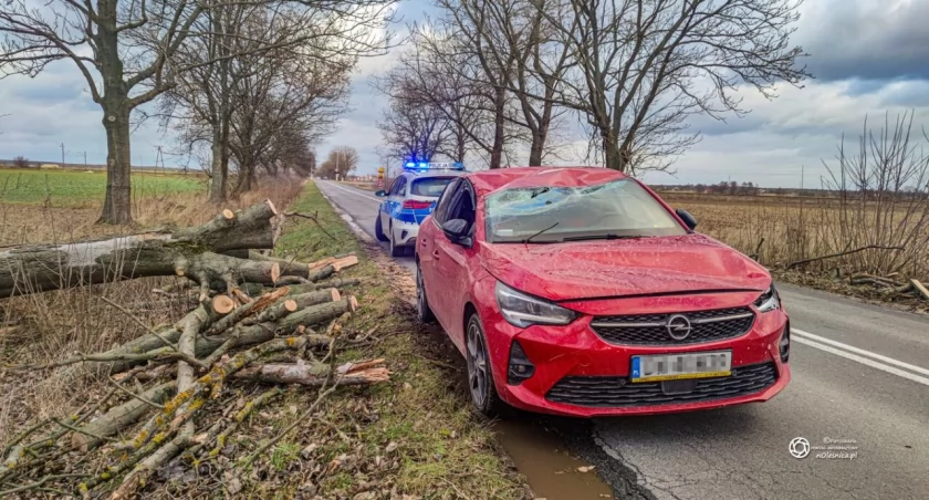 Drzewo spadło na przejeżdżające auto - jedna osoba trafiła do szpitala