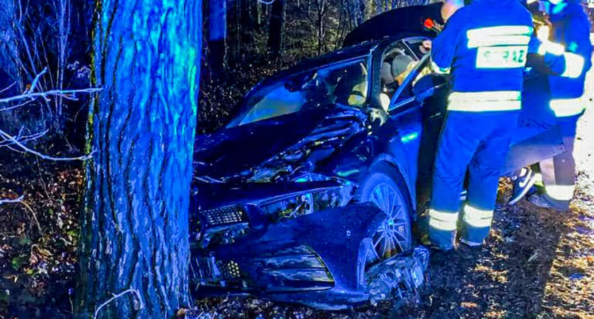 Auto uderzyło w drzewo - na szczęście nie było poszkodowanych