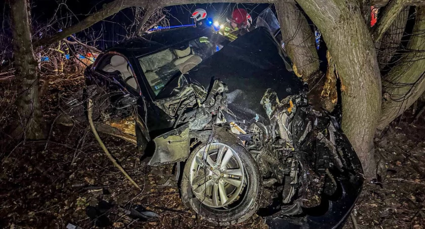 Mercedes z impetem uderzył w drzewo