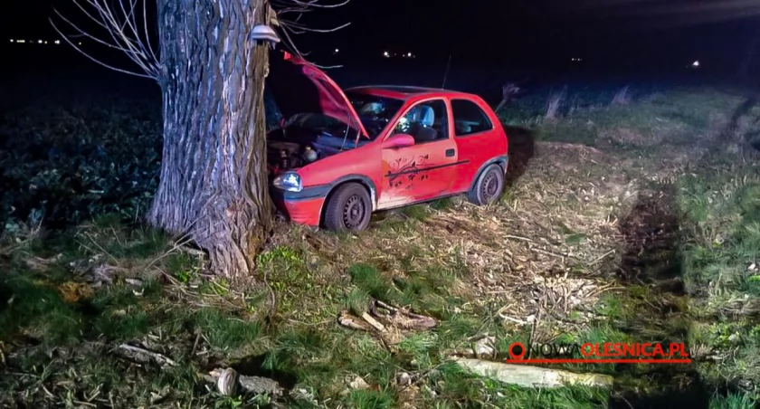 Mężczyzna stracił panowanie nad pojazdem i uderzył w drzewo - apel oleśnickiej policji