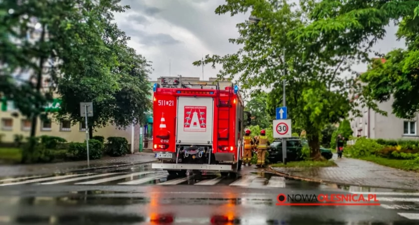 Konar spadł na zaparkowane auto