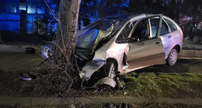 Auto uderzyło w drzewo - kierowca miał 3 promile