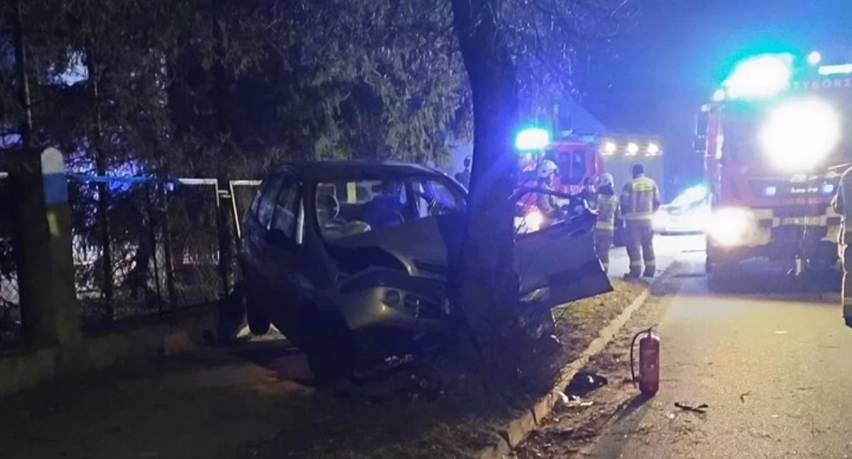 Zmarł kierowca, który wjechał w drzewo
