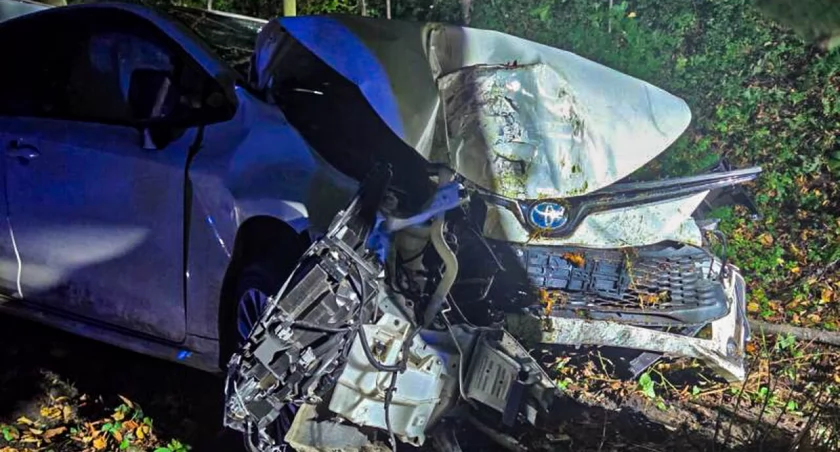 Podejrzana o jazdę po alkoholu uderzyła w drzewo. Policja zatrzymała prawo jazdy