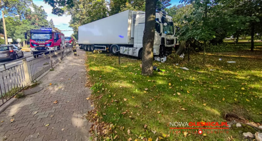 Kierowca ciężarówki zasłabł za kierownicą. Staranował ogrodzenie i ściął drzewo w Oleśnicy
