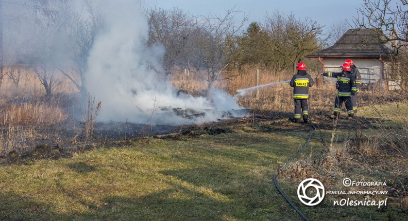 Pożar altanki na działkach