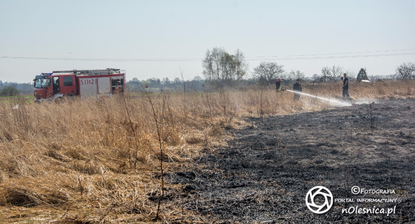 Pożar nieużytków oraz śmieci na Wileńskiej