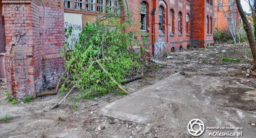 Budynek po WKU uporządkowany