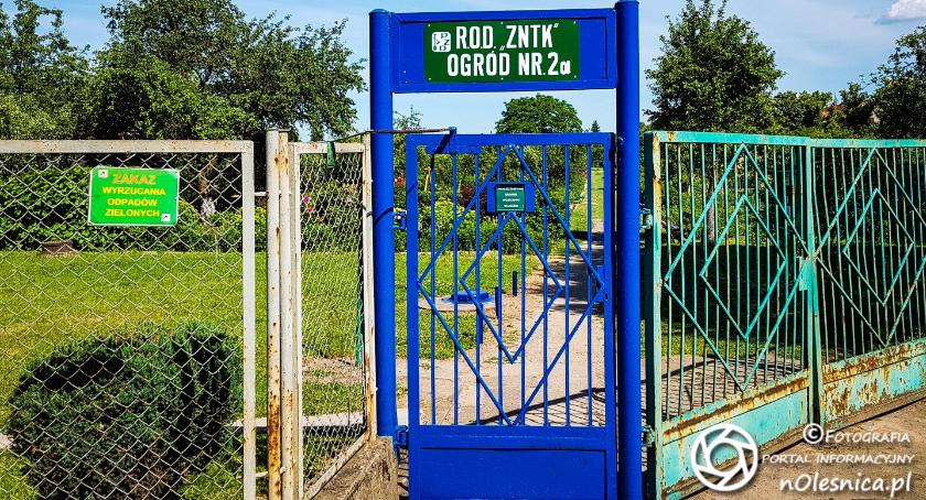 Nieznany sprawca złośliwie dewastuje działki środkiem chwastobójczym