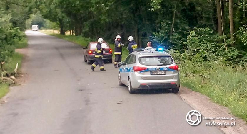 Konar spadł na auto