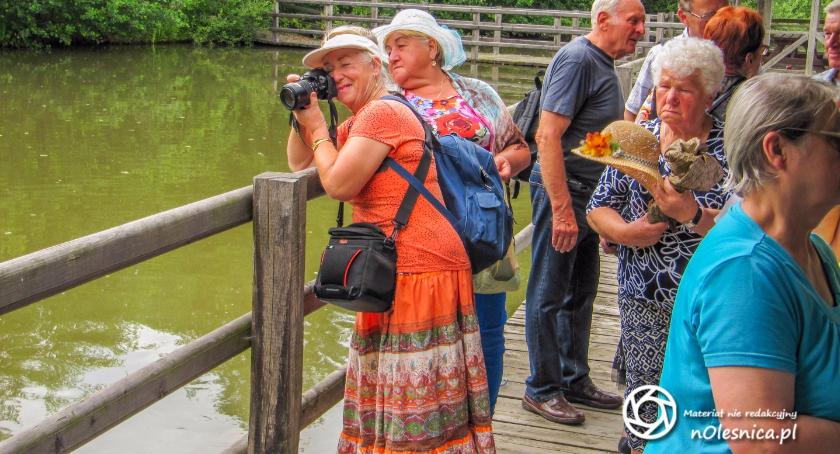 Warsztaty fotograficzne dla seniorów