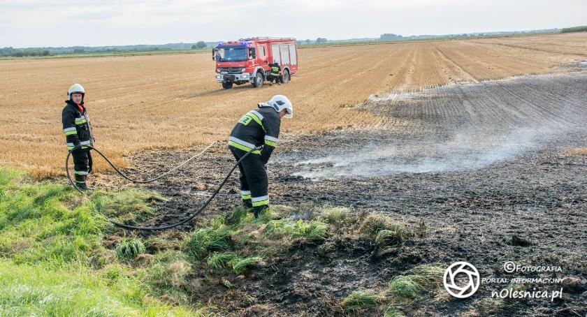 Ogromny pożar ścierniska między Stępinem a trasą S8