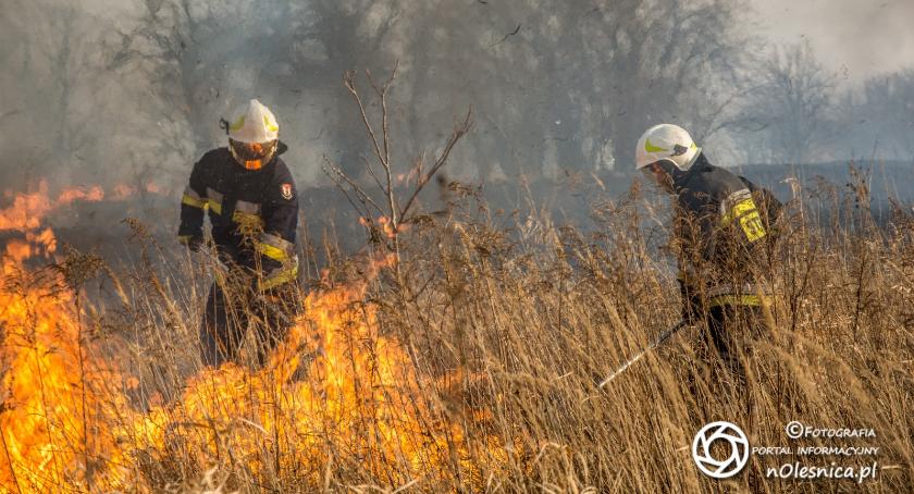 Podwójny pożar traw na kwadratach - FOTO - VIDEO