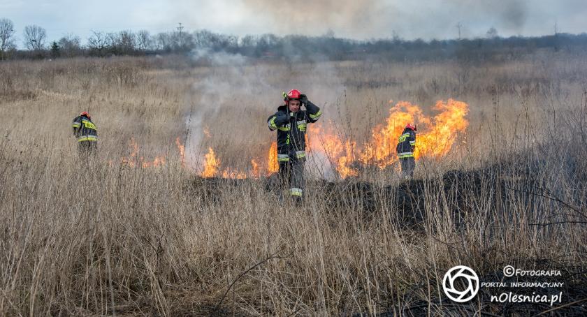 Pożar na kwadratach - ujęto sprawców podpalenia - VIDEO