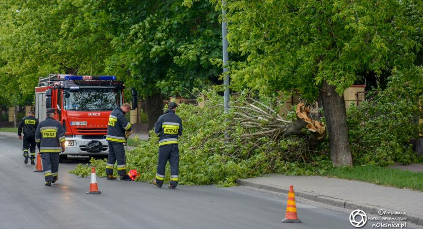 Strażacy usuwali powalony konar drzewa