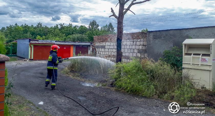Strażacy gasili pożar drzewa na Glinianej