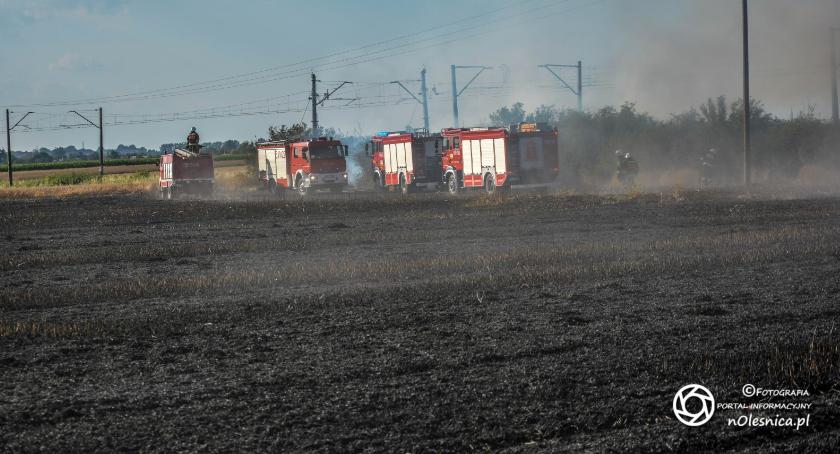 Pożar pola pszenicy w Gręboszycach - VIDEO