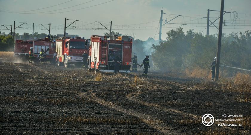 Straż podsumowała lipcowe pożary pól