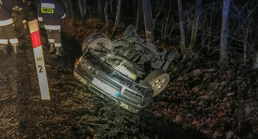 Stado saren i dachowanie Skody na DK25