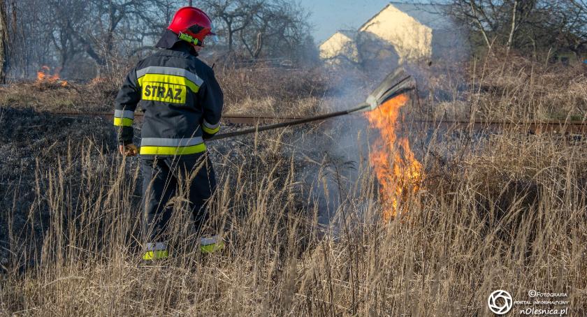 Pierwszy w tym roku pożar traw - sezon na wypalanie otwarty