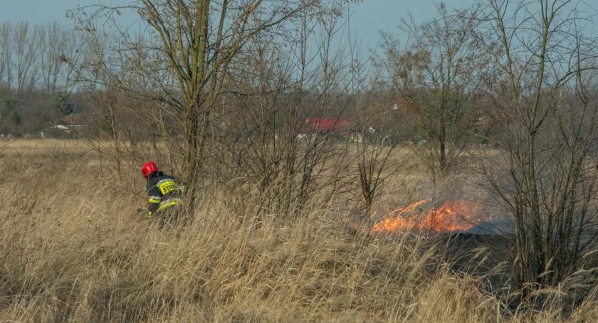 Kolejny w tym roku pożar traw - tradycyjnie na kwadratach