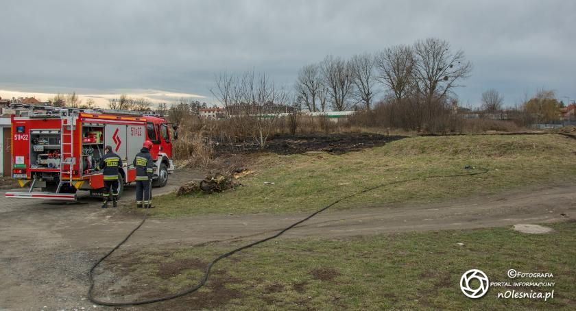 Pożar trawy koło LIDLa